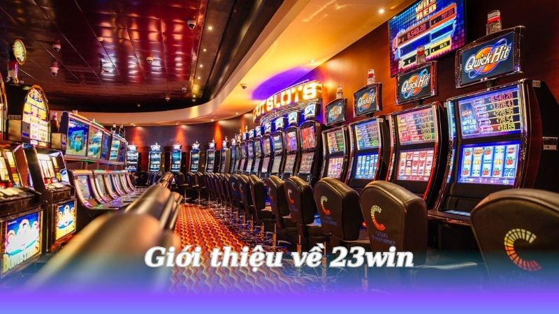 23win - Cá cược bóng đá, kèo thơm mỗi ngày 3 gioi-thieu-ve-23win