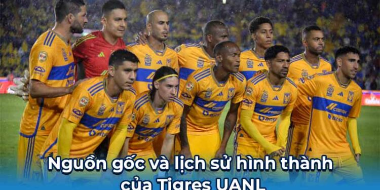 Tigres UANL 1