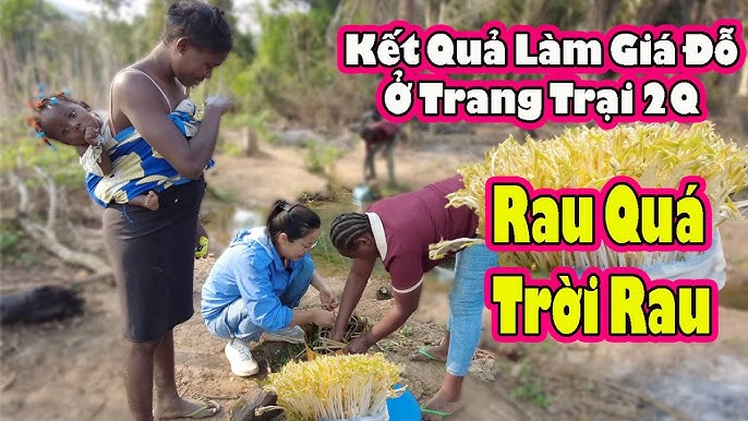 Trang trại 2Q đang phục vụ mục đích cá nhân như thế nào? 3 Trang trại 2Q đang phục vụ mục đích cá nhân như thế nào