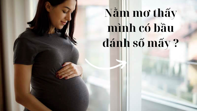 Nằm mơ thấy mình có bầu đánh số mấy: Ý nghĩa và tương quan 6 Nằm mơ thấy mình có bầu đánh số mấy là một câu hỏi thường gặp trong tâm lý của người chơi lô đề