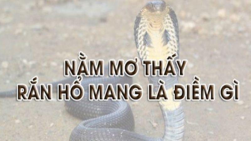 Nằm Mơ Thấy Rắn Hổ Mang Trong Xổ Số - Điềm Báo Gì? 7 Kinh nghiệm chọn số khi Nằm Mơ Thấy Rắn Hổ Mang