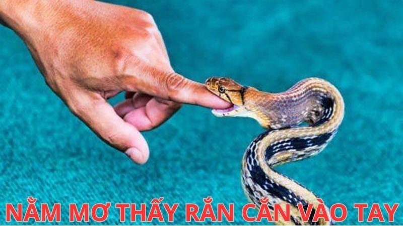 Giải Mã Giấc Mơ: Nằm Mơ Thấy Rắn Cắn Vào Tay Trong Lô Đề Điềm Báo Gì? 5 Giới thiệu về việc Nằm Mơ Thấy Rắn Cắn Vào Tay
