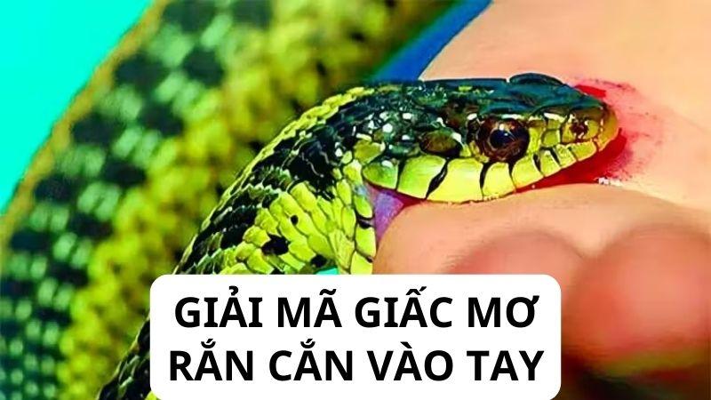 Giải Mã Giấc Mơ: Nằm Mơ Thấy Rắn Cắn Vào Tay Trong Lô Đề Điềm Báo Gì? 6 Giải mã giấc mơ rắn cắn vào tay