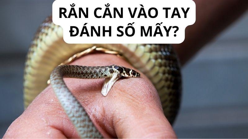 Giải Mã Giấc Mơ: Nằm Mơ Thấy Rắn Cắn Vào Tay Trong Lô Đề Điềm Báo Gì? 7 Suy luận từ giấc mơ để có con số lô đề chính xác