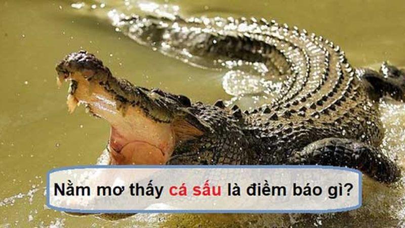 Giải Đáp: Nằm Mơ Thấy Cá Sấu Trong Lô Đề Đánh Con Gì? 5 Giới thiệu về Nằm Mơ Thấy Cá Sấu