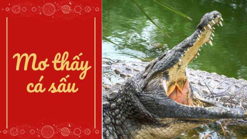 Giải Đáp: Nằm Mơ Thấy Cá Sấu Trong Lô Đề Đánh Con Gì? 6 Giải mã giấc mơ thấy cá sấu