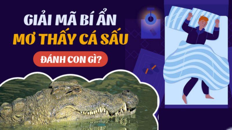 Giải Đáp: Nằm Mơ Thấy Cá Sấu Trong Lô Đề Đánh Con Gì? 7 Liên hệ giữa giấc mơ thấy cá sấu vào việc chọn số lô đề