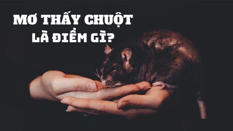 Chuyên Gia Giải Đáp: Nằm Mơ Thấy Chuột Đánh Con Gì Trong Lô Đề? 5 Ý nghĩa của Nằm Mơ Thấy Chuột