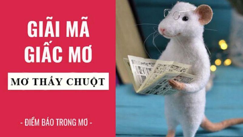 Chuyên Gia Giải Đáp: Nằm Mơ Thấy Chuột Đánh Con Gì Trong Lô Đề? 6 Giải mã giấc mơ Nằm Mơ Thấy Chuột