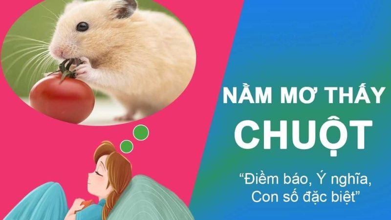Chuyên Gia Giải Đáp: Nằm Mơ Thấy Chuột Đánh Con Gì Trong Lô Đề? 7 Dự đoán con số chính xác khi Nằm Mơ Thấy Chuột