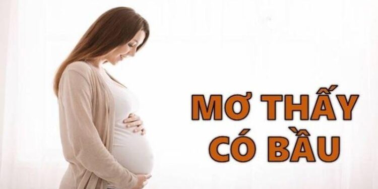 Giải Mã Giấc Mơ: Nằm Mơ Thấy Có Bầu Đánh Đề Gì? 4 image 15