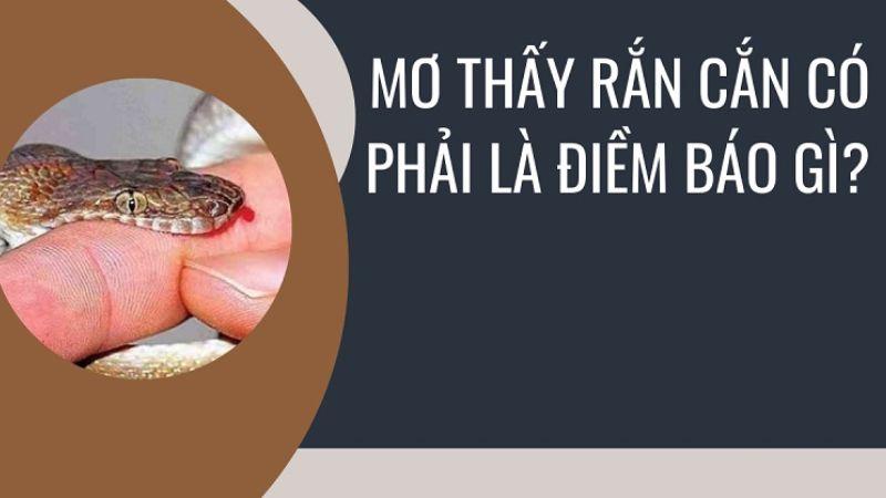 Nằm Mơ Thấy Rắn Cắn Trong Xổ Số: Đánh Con Số Nào? 5 Giới thiệu về việc Nằm Mơ Thấy Rắn Cắn
