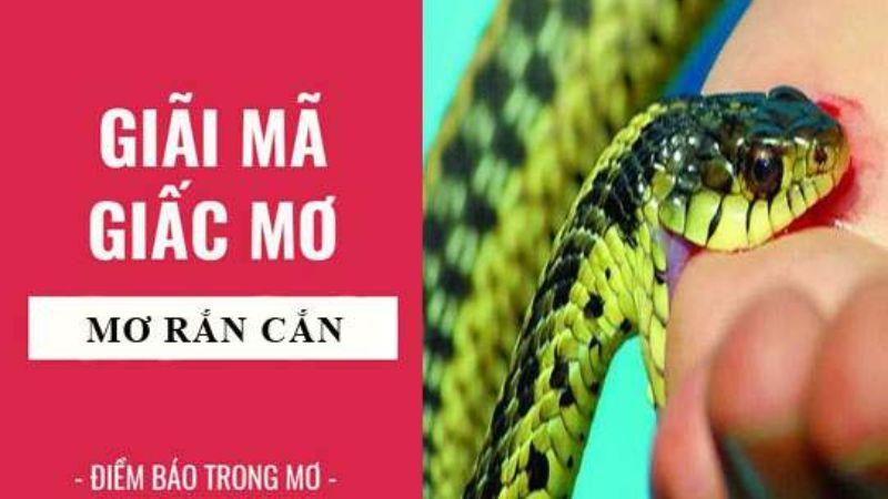 Nằm Mơ Thấy Rắn Cắn Trong Xổ Số: Đánh Con Số Nào? 6 Liên hệ giữa giấc mơ vào xổ số để có con số lý tưởng