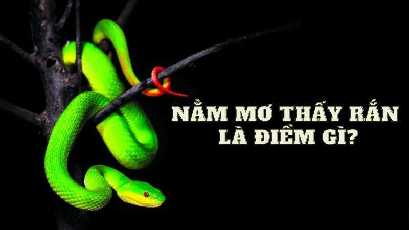 Nằm Mơ Thấy Rắn Cắn Trong Xổ Số: Đánh Con Số Nào? 7 Phân tích các dữ liệu giấc mơ để có con số may mắn