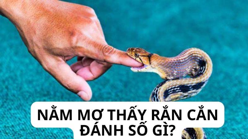 Nằm Mơ Thấy Rắn Cắn Đánh Số Gì: Chia Sẻ Từ Chuyên Gia? 5 Giới thiệu về việc Nằm Mơ Thấy Rắn Đánh Số Gì