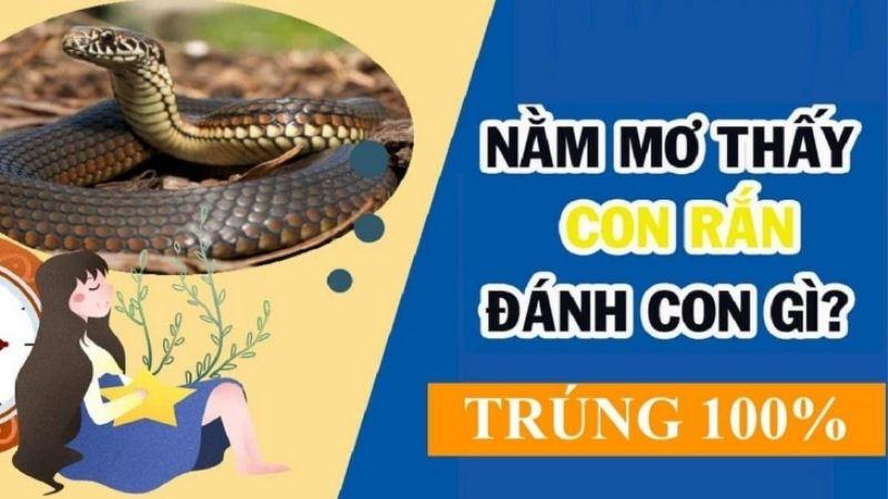 Nằm Mơ Thấy Rắn Cắn Đánh Số Gì: Chia Sẻ Từ Chuyên Gia? 6 Dự báo giấc mơ rắn cắn