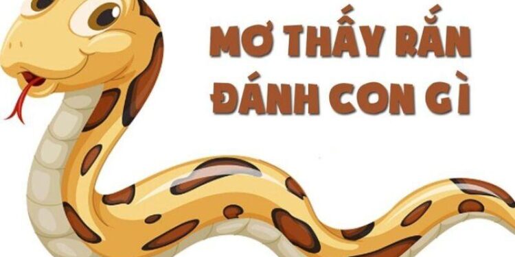 Giải Mã Giấc Mơ Lô Đề: Nằm Mơ Thấy Rắn Mang Lại Con Số Gì? 4 image 3