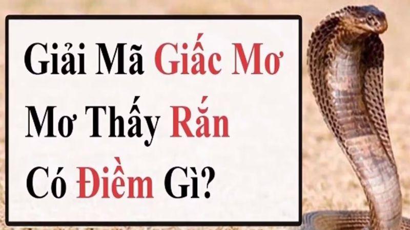 Nằm mơ thấy rắn là điềm gì trong xổ số? Phân tích tâm linh và sự may mắn 5 Giới thiệu về việc Nằm Mơ Thấy Rắn Là Điềm Gì