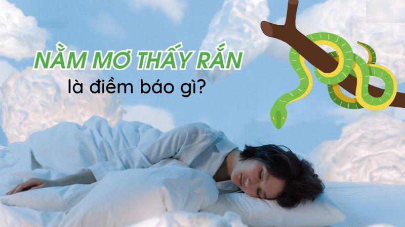 Nằm mơ thấy rắn là điềm gì trong xổ số? Phân tích tâm linh và sự may mắn 7 Suy luận con số chính xác khi nằm mơ thấy rắn