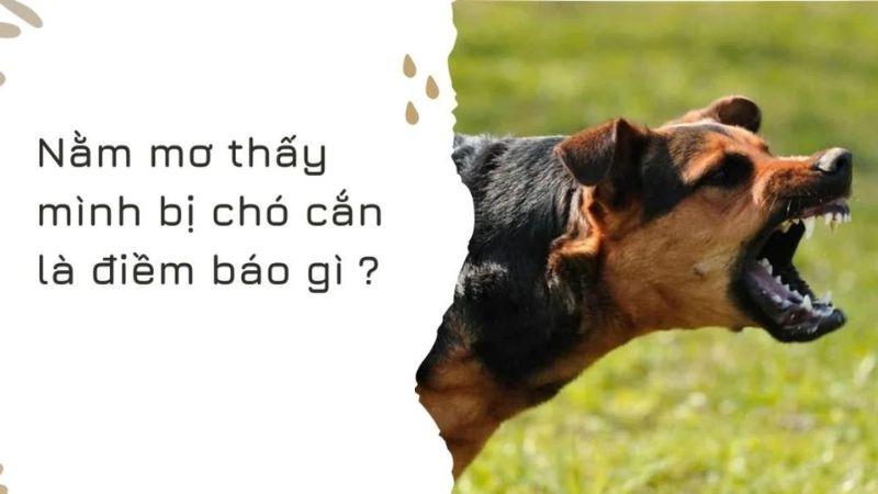 Giới thiệu về việc Nằm Mơ Thấy Chó Cắn trong xổ số