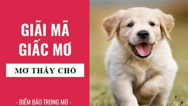 Nằm mơ thấy chó: Ý nghĩa và tình huống may mắn 5 Ý nghĩa của Nằm Mơ Thấy Chó