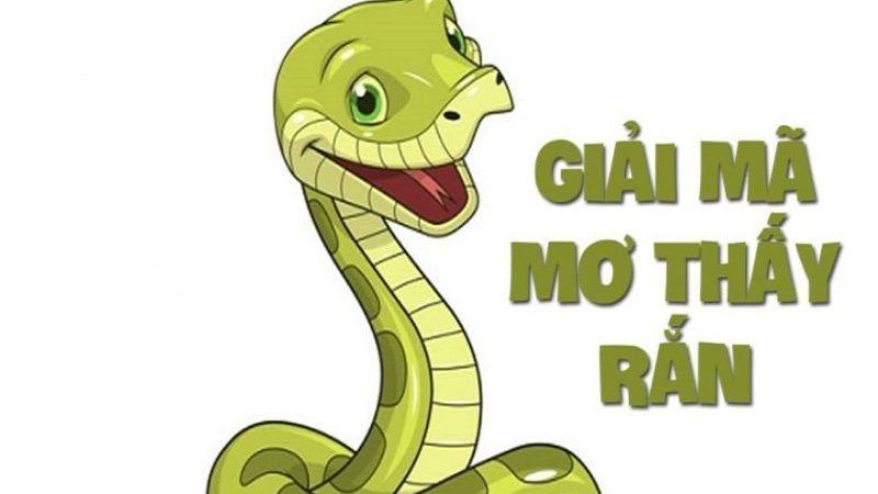Giải Mã Giấc Mơ Lô Đề: Nằm Mơ Thấy Rắn Mang Lại Con Số Gì? 7 Giải mã giấc mơ để chọn con số đúng đắn