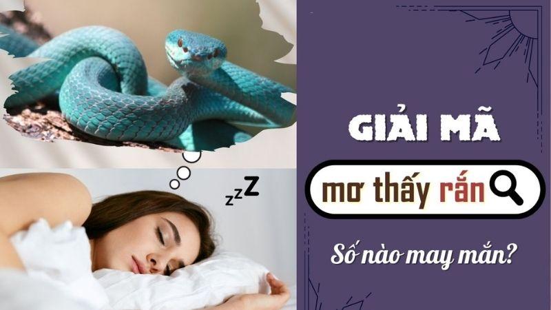 Giải mã giấc mơ thấy rắn đánh con gì