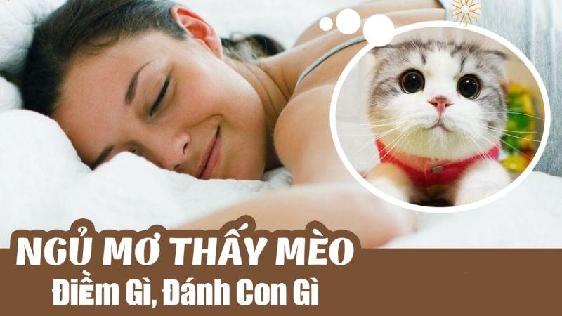 Nằm mơ thấy mèo trong xổ số: Giải mã giấc mơ và dự đoán số may mắn 5 Kinh nghiệm khi ngủ nằm mơ thấy mèo đánh con gì?