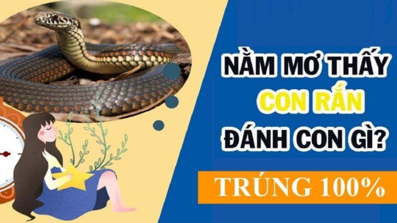 Giải Mã Giấc Mơ: Nằm Mơ Thấy Rắn Đánh Số Gì Để May Mắn? 6 Ý nghĩa của rắn trong giấc mơ