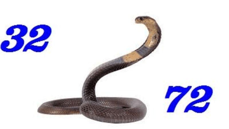 Giải Mã Giấc Mơ: Nằm Mơ Thấy Rắn Đánh Số Gì Để May Mắn? 7 Giải mã việc nằm mơ thấy rắn đánh số gì