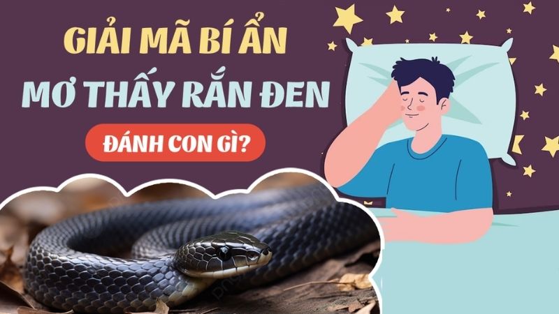 Chuyên Gia Giải Đáp: Nằm Mơ Thấy Rắn Đen Đánh Con Gì Trong Xổ Số? 7 Suy luận giấc mơ thấy rắn đen để có con số lô đề ưng ý