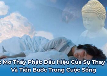 nam mo thay phat 3