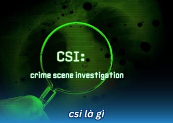 CSI là gì? 2 csi la gi