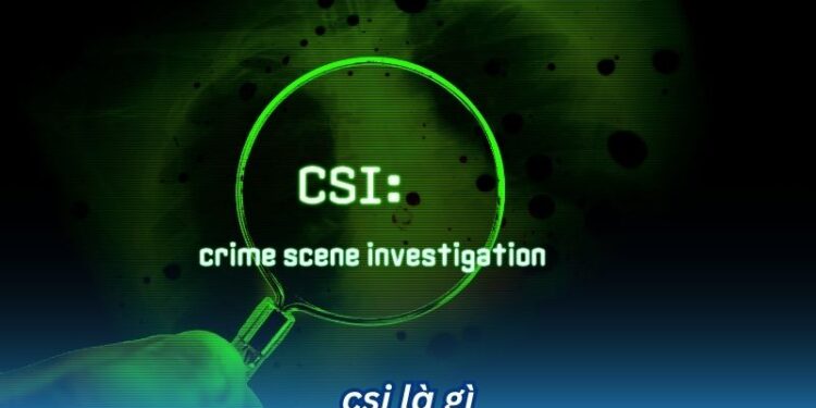CSI là gì? 2 csi la gi