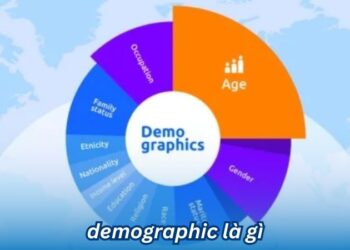 Demographic là gì? 8 demographic la gi 1