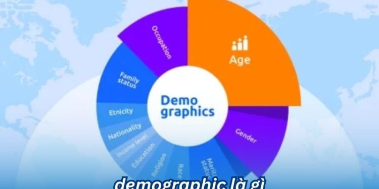 Demographic là gì? 2 demographic la gi 1