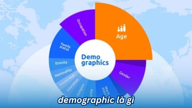 Demographic là gì? 3 Demographic là gì?