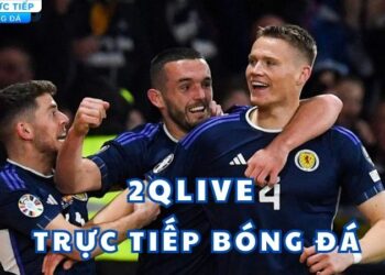 2qlive truc tiep bong da (8)
