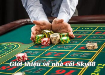 gioi-thieu-ve-nha-cai-sky88