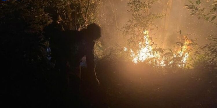 chay-rung-o-vuon-quoc-gia-ba-vi